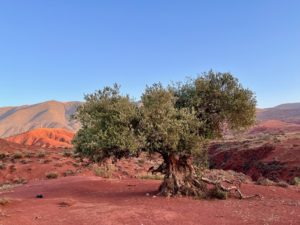 Paysage de l’Atlas lors de la retraite dansée au Maroc