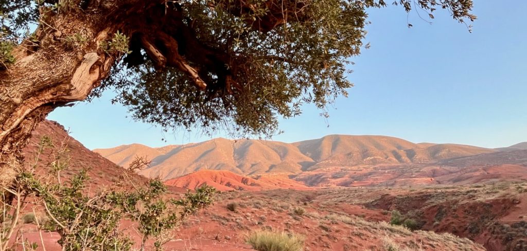 Paysage de l'Atlas marocain - Bin El Ouidane
