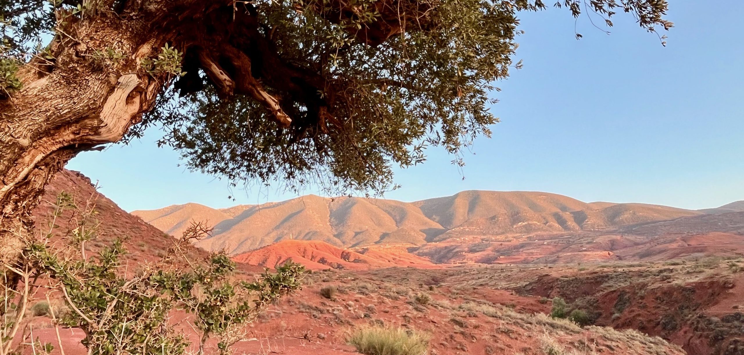 Paysage de l'Atlas marocain - Bin El Ouidane